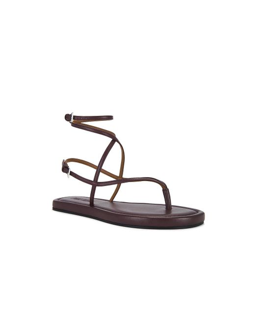 Paris Texas Multicolor Hydra Flat Sandal