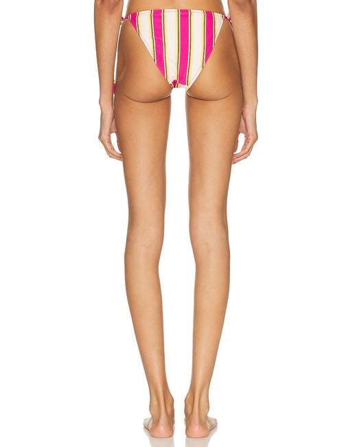 Solid & Striped Multicolor The Iris Bottom