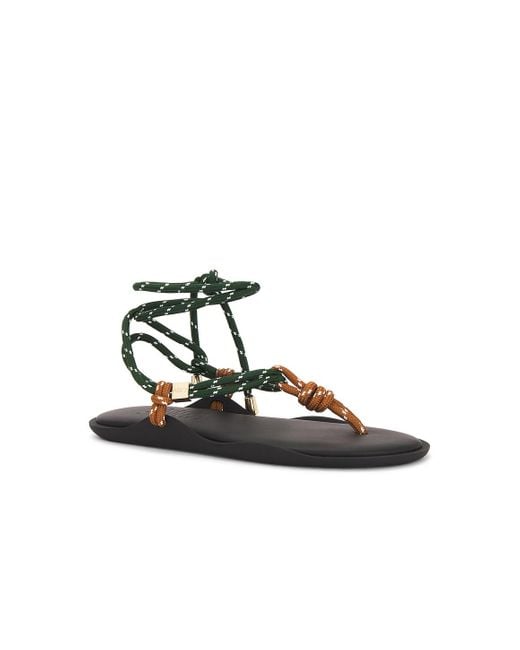 FLOWZE Multicolor Flo Twin Sandal