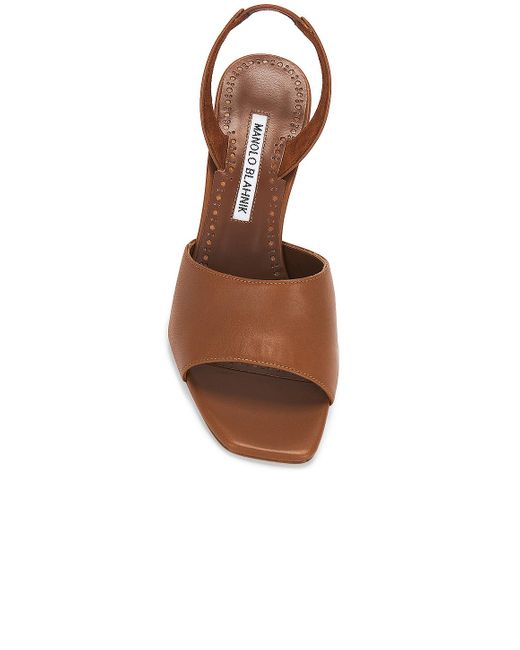 Manolo Blahnik Brown Clotilde 105 Leather Sandal