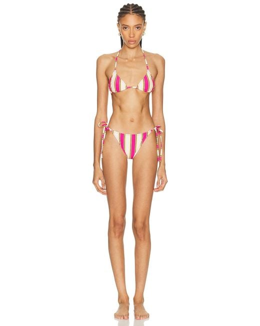 Solid & Striped Multicolor The Iris Bottom