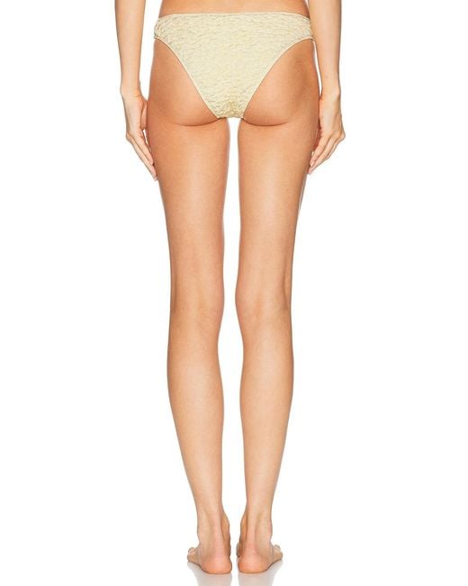 Juillet Multicolor Lea Bikini Bottom