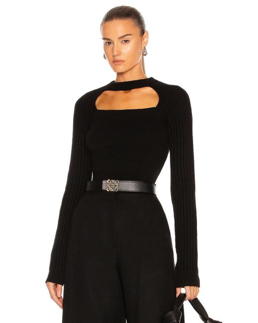 loewe cropped sweater