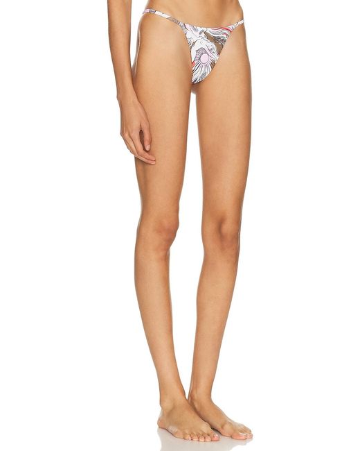 Ziah Multicolor Joa Bikini Bottom
