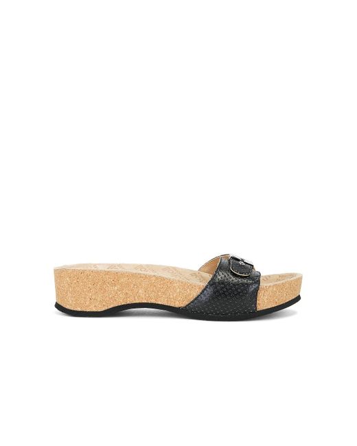 Balenciaga White X Scholl Sandal