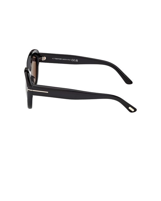Tom Ford Brown Cat Sunglasses