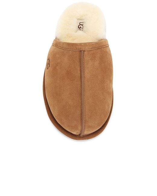Ugg Brown Scuff Slippers for men