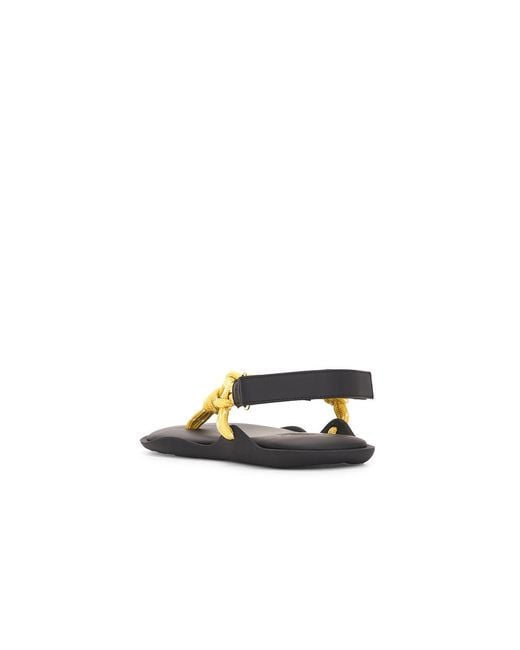 FLOWZE Multicolor Flo Sandal