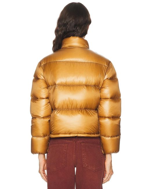 Moncler Orange Tepice Jacket