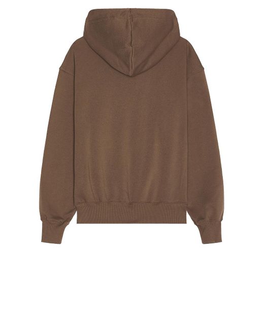 The North Face Brown Evolution Vintage Hoodie for men