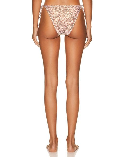 Matteau Multicolor String Brief Bikini Bottom