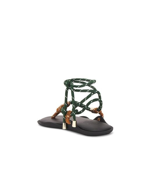 FLOWZE Multicolor Flo Twin Sandal