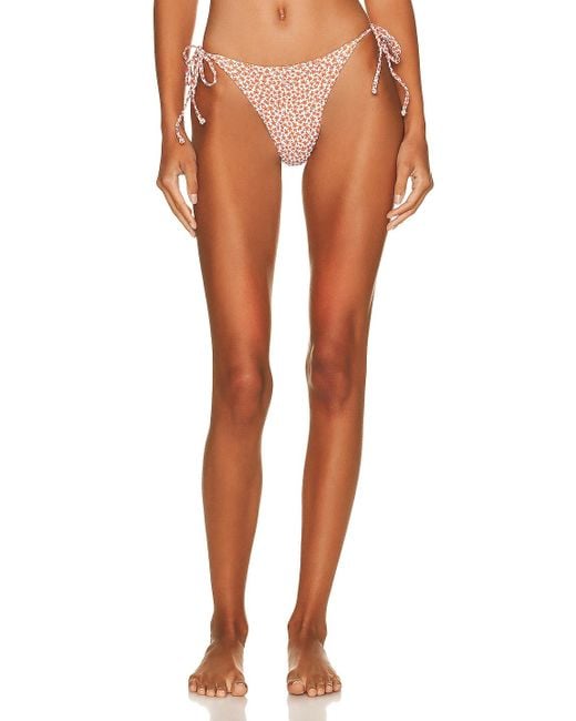 Matteau Multicolor String Brief Bikini Bottom
