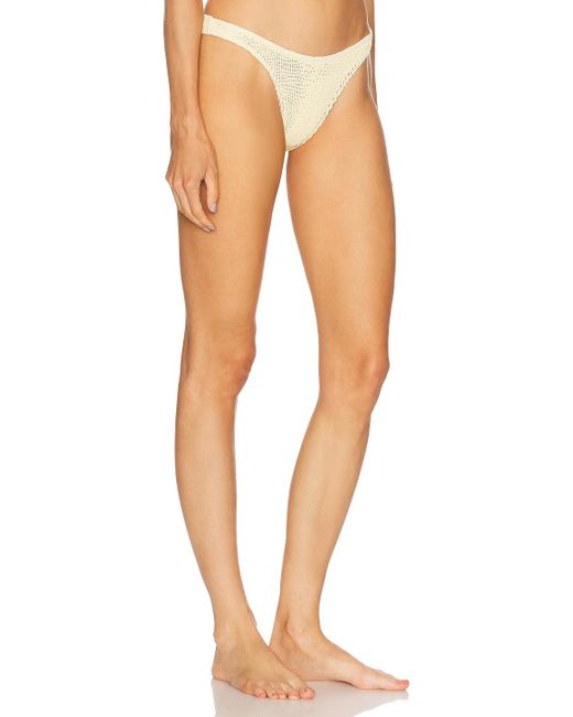 Bondeye Multicolor Scene Brief Bikini Bottom