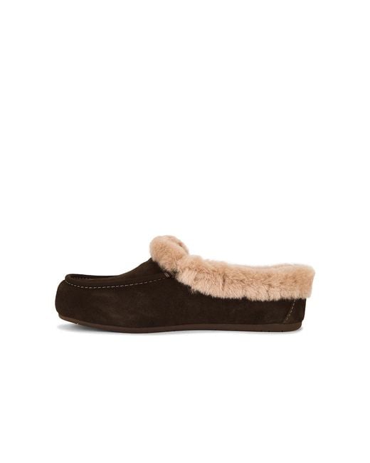 Ugg Brown Ansley Mule