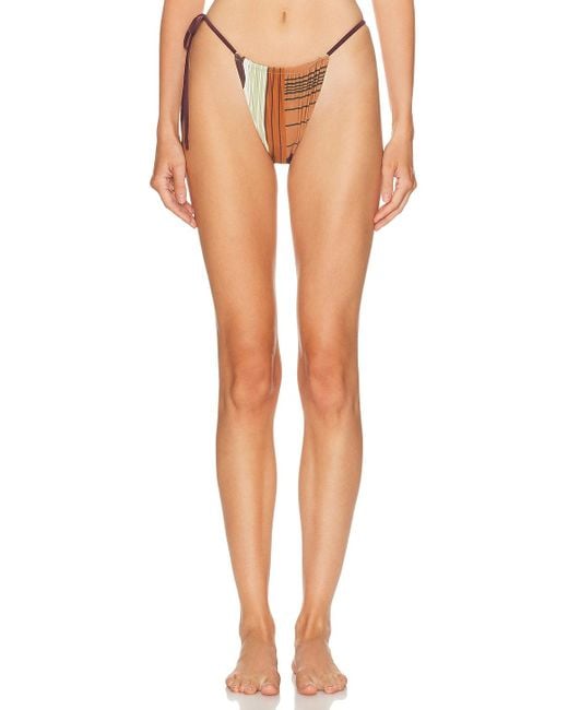 Sir Multicolor Fontana String Bikini Brief