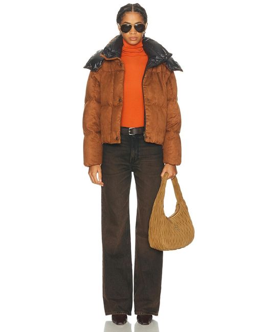 Moncler Orange Paterne Jacket