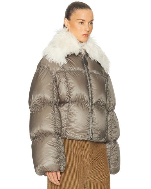 Jil Sander Brown Down Jacket