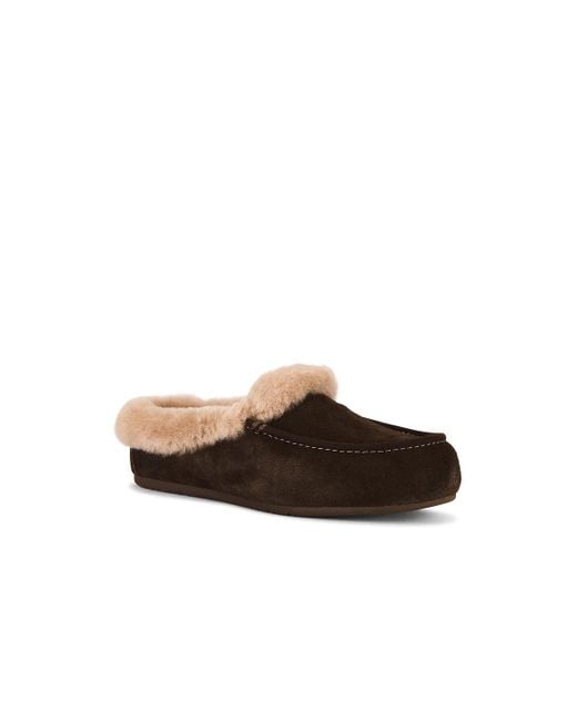 Ugg Brown Ansley Mule