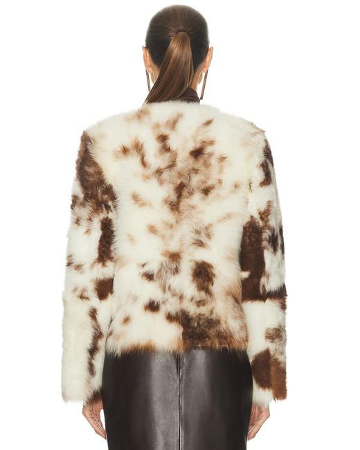 Zimmermann Natural Hypnotic Spot Shearling Jacket