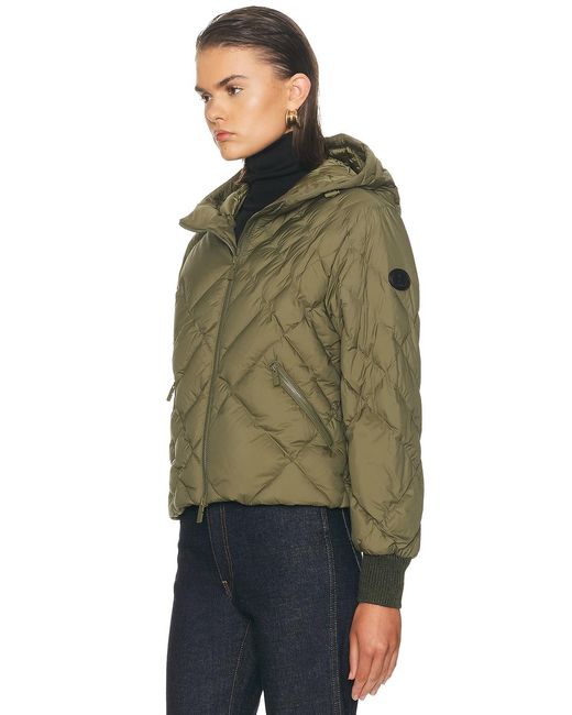 Burberry Green Delley Jacket