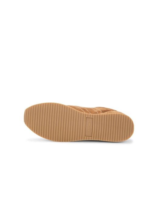 Totême  Brown Flex Suede Sneaker