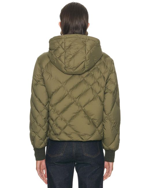 Burberry Green Delley Jacket