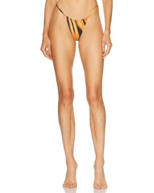 Skims Natural X Cavalli String Bikini Bottom