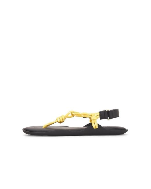 FLOWZE Multicolor Flo Sandal