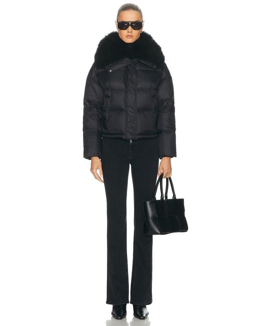 Yves Salomon Black Short Down Jacket