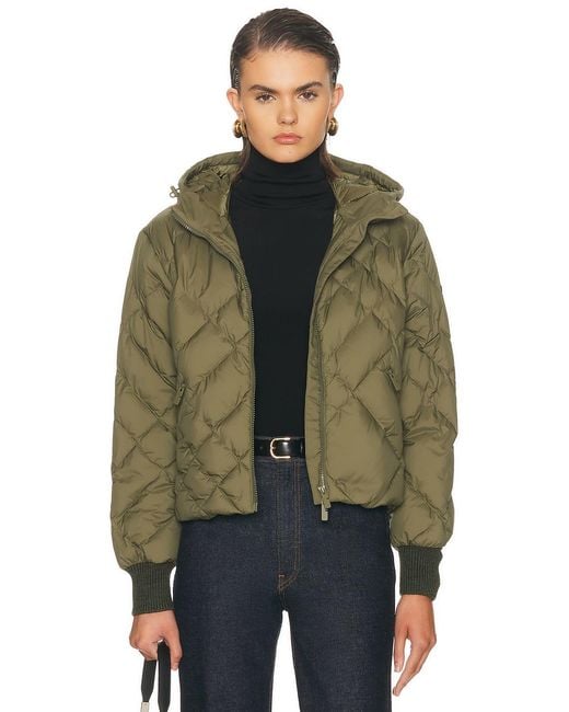 Burberry Green Delley Jacket