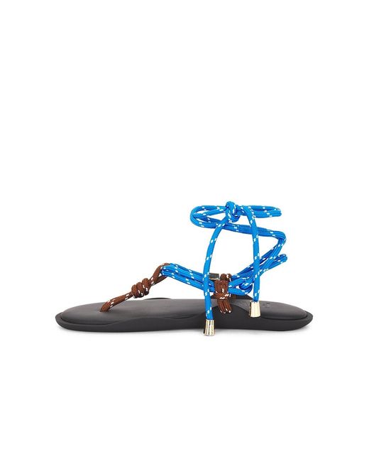 FLOWZE Blue Flo Twin Sandal