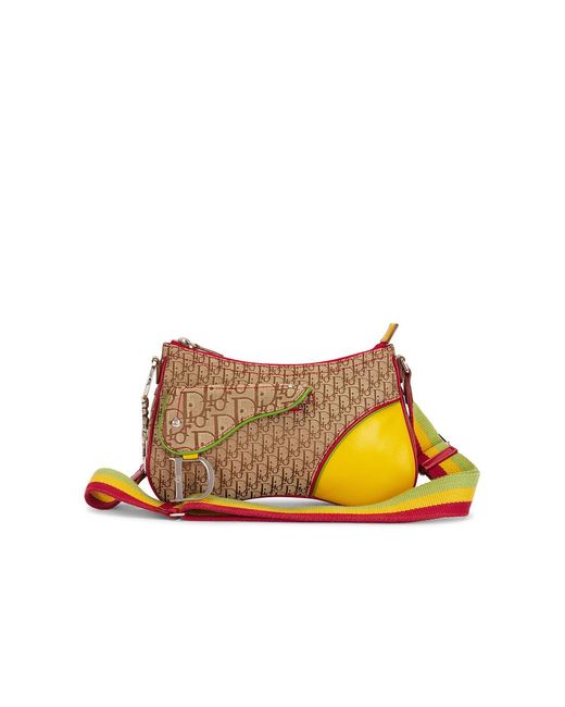 Dior Natural Rasta Double Saddle Bag