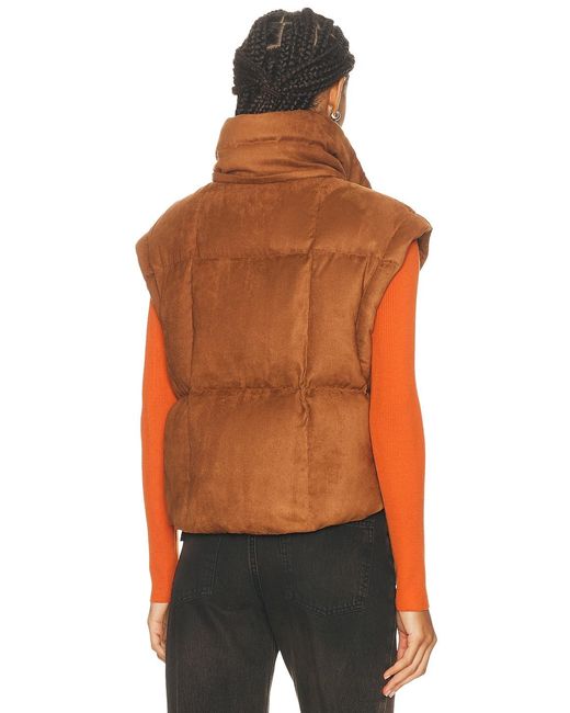 Moncler Orange Paterne Jacket