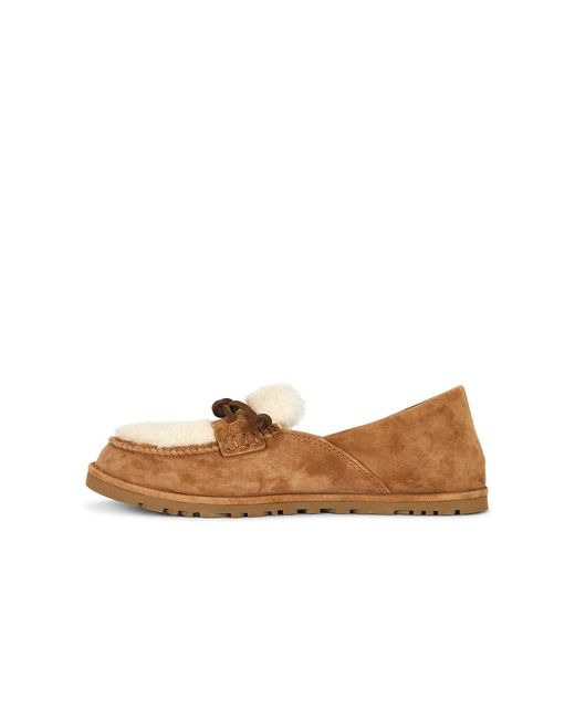 Ugg Brown Zora Loafer