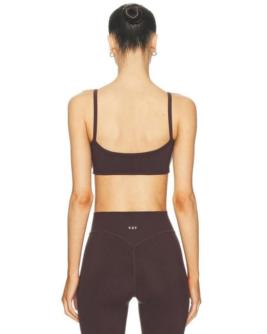 437 Brown The Micro Bra