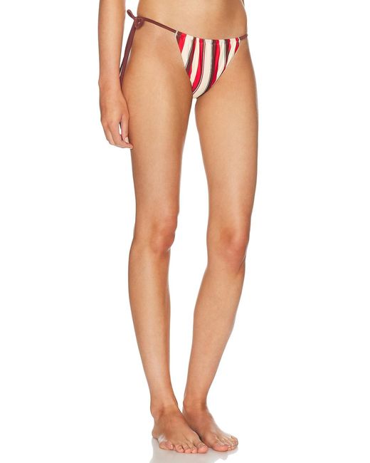Sir Multicolor Alva String Bikini Brief