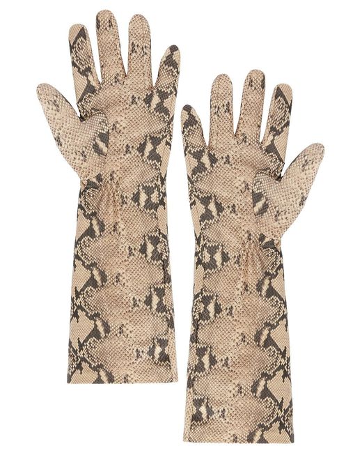 Handsome Stockholm Natural For Fwrd Essential Long Gloves