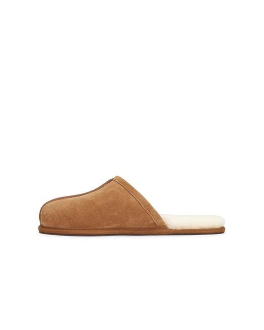 Ugg Brown Scuff Slippers for men