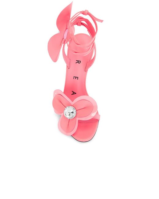 Area Pink Flower Lace Up Sandal