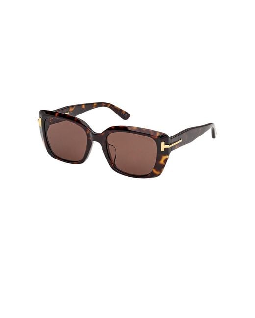 Tom Ford Brown Square Sunglasses