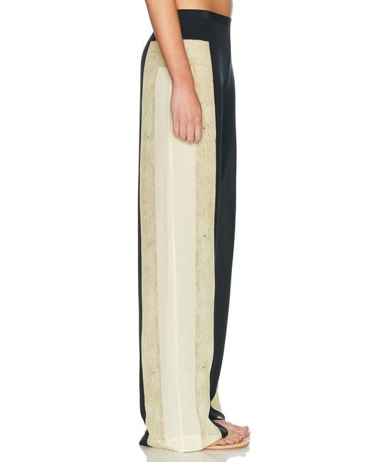 Sir Black Sona Pant