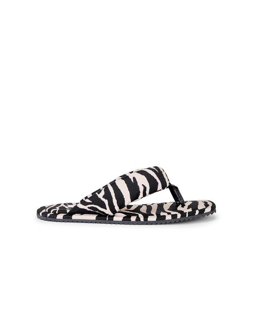 The Attico Black Zebra Printed Indie Flat Thong Sandal
