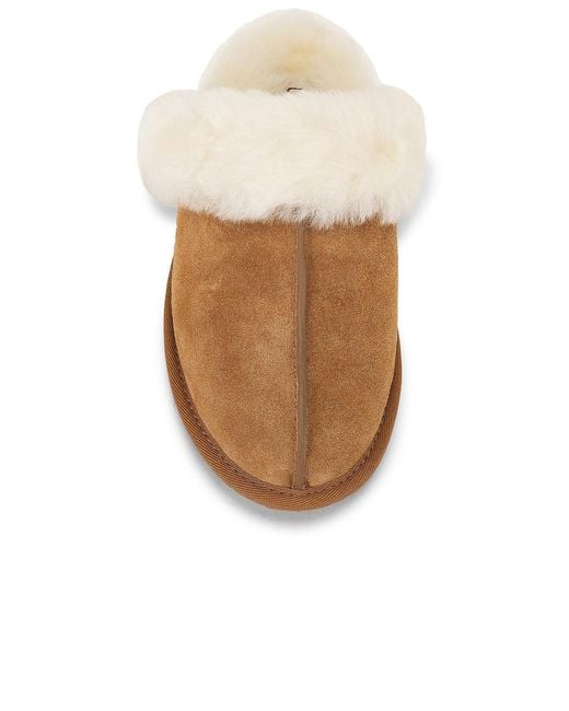 Ugg Brown Scuffette Ii Slipper