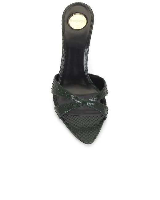 Saint Laurent Multicolor Gippy Python Mule Sandal