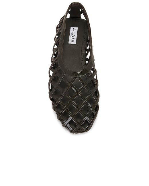 Alaïa Multicolor Ballerina Flat