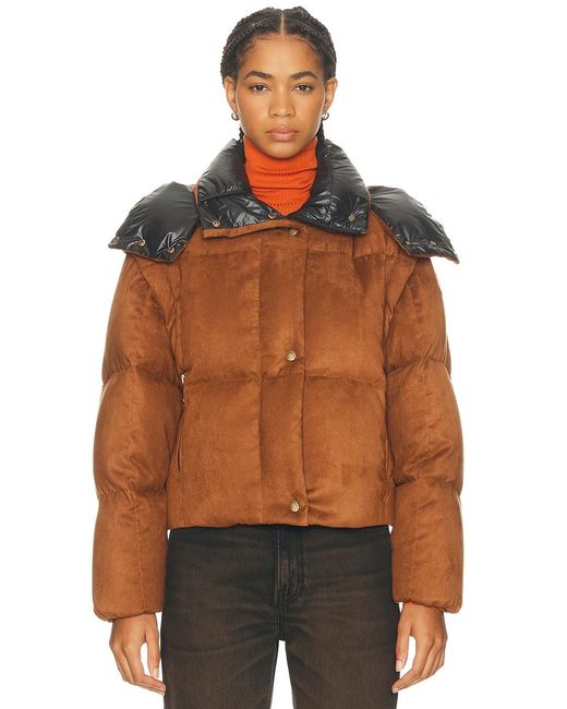Moncler Orange Paterne Jacket