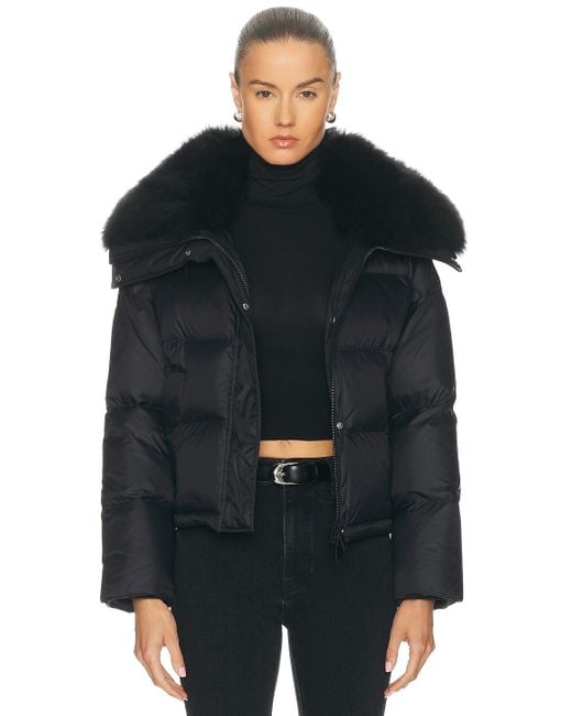 Yves Salomon Black Short Down Jacket