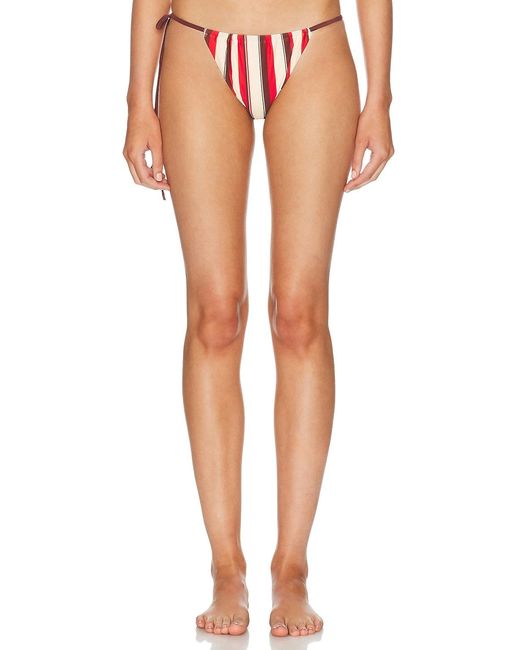 Sir Multicolor Alva String Bikini Brief