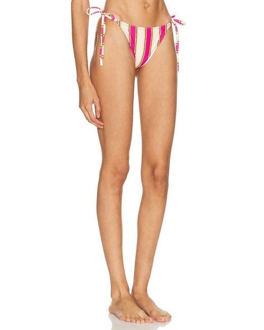 Solid & Striped Multicolor The Iris Bottom